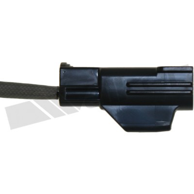 Sensor, avgastemperatur, Tvåsidig Walker products 273-20434 WALKER PRODUCTS
