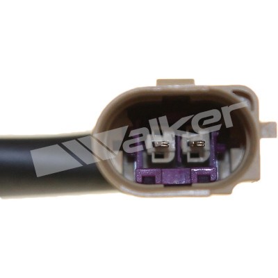 Sensor, avgastemperatur Walker products 273-20485 WALKER PRODUCTS