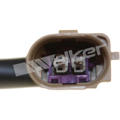 Sensor, avgastemperatur Walker products 273-20488 WALKER PRODUCTS