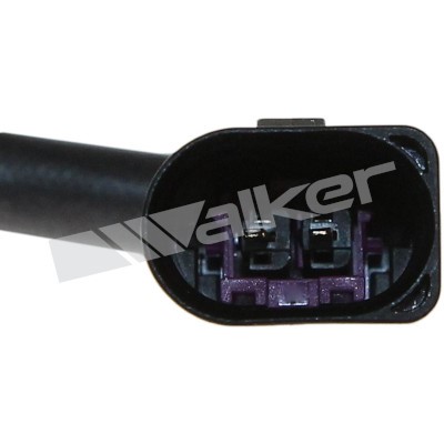 Sensor, avgastemperatur Walker products 273-20560 WALKER PRODUCTS