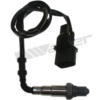 Lambdasond, Höger Walker products 800-95030 WALKER PRODUCTS