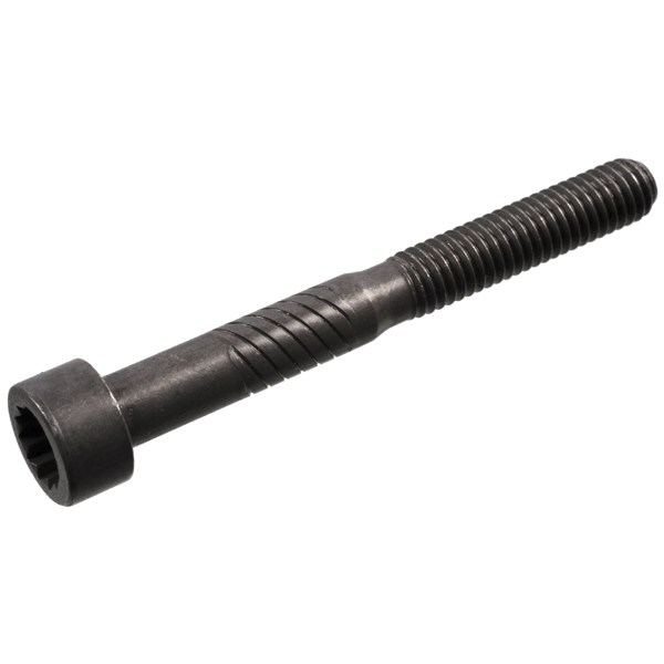 Skruv, vipparmsaxel Febi bilstein 100729 FEBI BILSTEIN