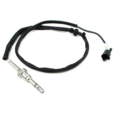 Sensor, avgastemperatur Meat & doria 12402 MEAT & DORIA Sensor, avgastemperatur Meat & doria 12402 MEAT & DORIA