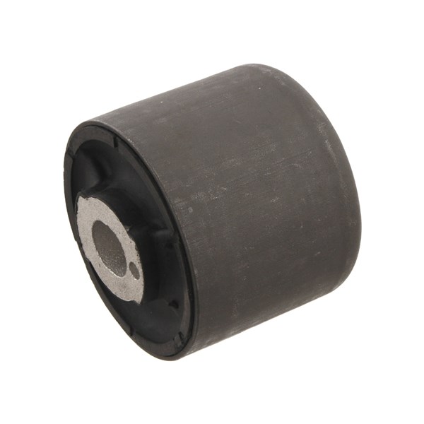 Fäste, differential, Bak, Vänster Febi bilstein 29367 FEBI BILSTEIN