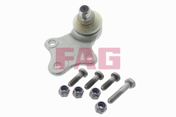 Kulled / Spindelled, Framaxel Fag 825 0189 10 FAG