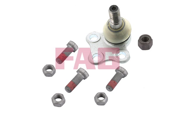 Kulled / Spindelled, Framaxel Fag 825 0261 10 FAG
