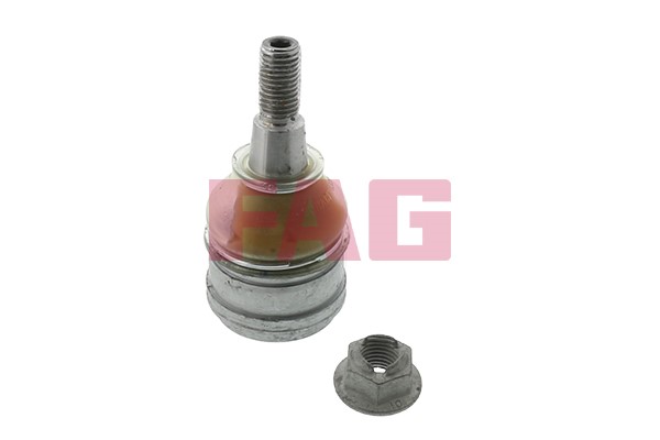 Kulled / Spindelled, Framaxel Fag 825 0267 10 FAG