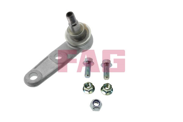 Kulled / Spindelled, Framaxel Fag 825 0307 10 FAG