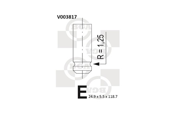Avgasventil Bga V003817 BGA