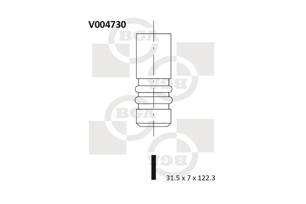 Avgasventil Bga V004730 BGA