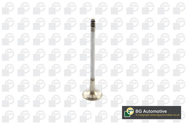 Avgasventil Bga V090107 BGA