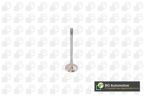 Avgasventil Bga V142050 BGA