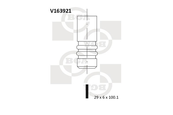 Avgasventil Bga V163921 BGA