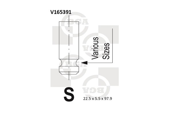 Avgasventil Bga V165391 BGA