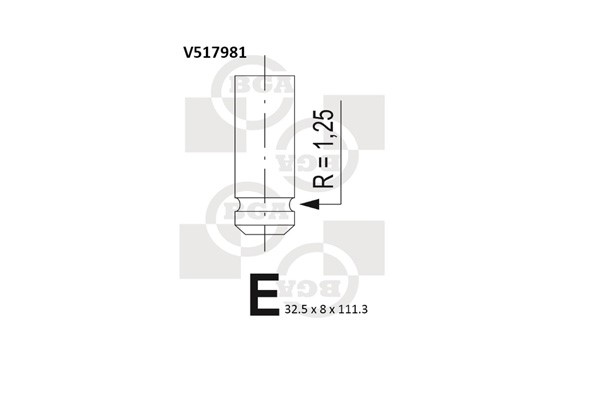 Avgasventil Bga V517981 BGA