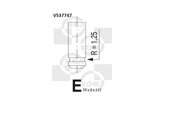 Avgasventil Bga V537747 BGA Avgasventil Bga V537747 BGA