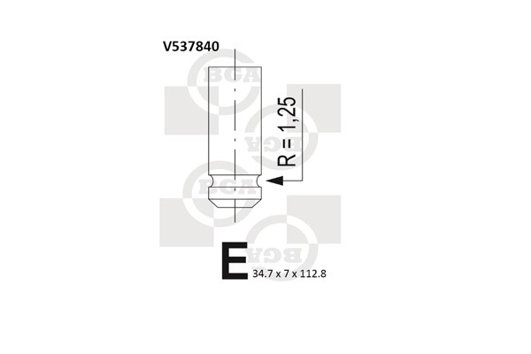 Insugsventil Bga V537840 BGA