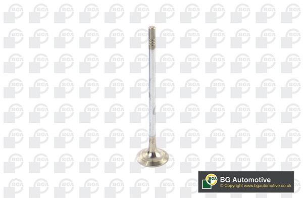 Avgasventil Bga V799602 BGA Avgasventil Bga V799602 BGA