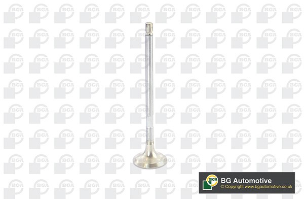 Avgasventil Bga V917011 BGA Avgasventil Bga V917011 BGA