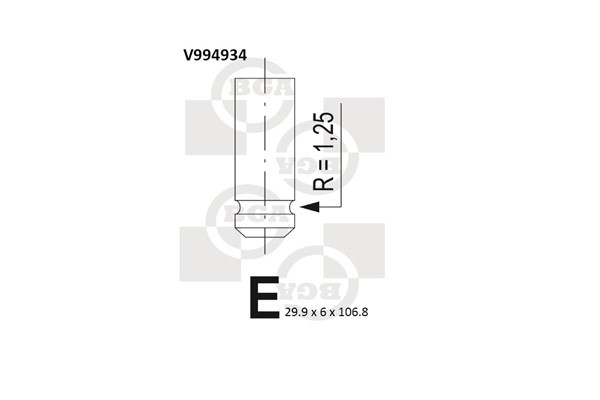 Avgasventil Bga V994934 BGA