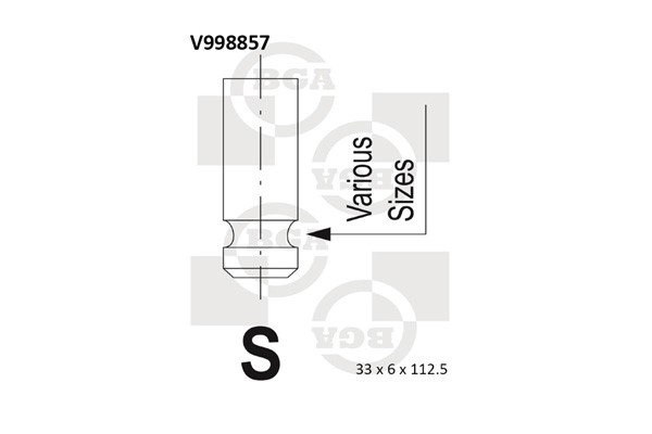 Insugsventil Bga V998857 BGA