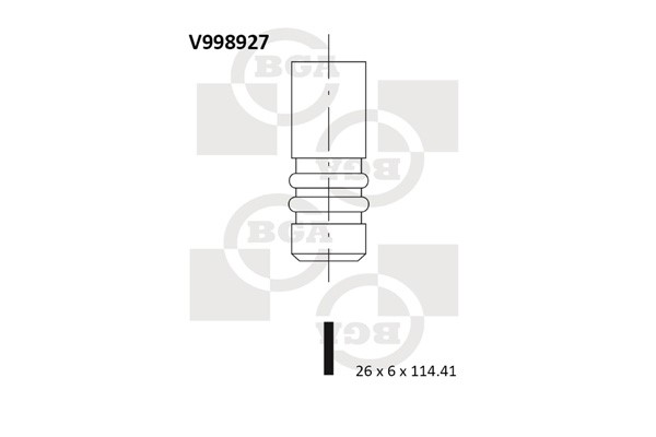 Avgasventil Bga V998927 BGA