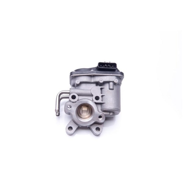 Egr-ventil 12V Esen skv 14SKV102 ESEN SKV