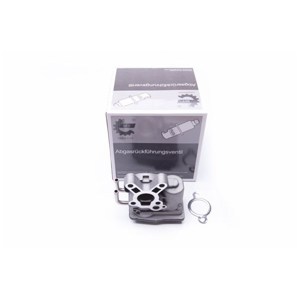 Egr-ventil 12V Esen skv 14SKV102 ESEN SKV