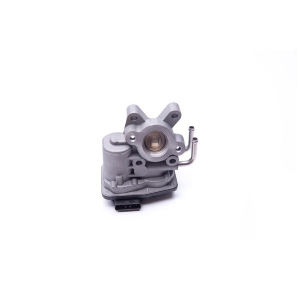 Egr-ventil 12V Esen skv 14SKV102 ESEN SKV