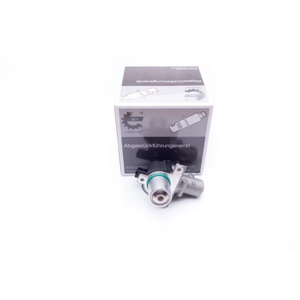 Egr-ventil 12V Esen skv 14SKV163 ESEN SKV