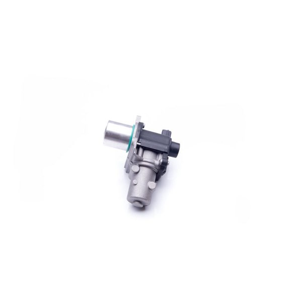 Egr-ventil 12V Esen skv 14SKV163 ESEN SKV