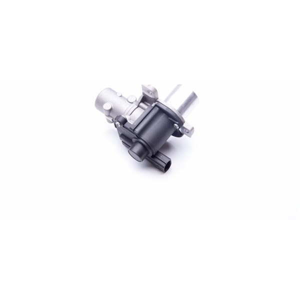 Egr-ventil 12V Esen skv 14SKV163 ESEN SKV