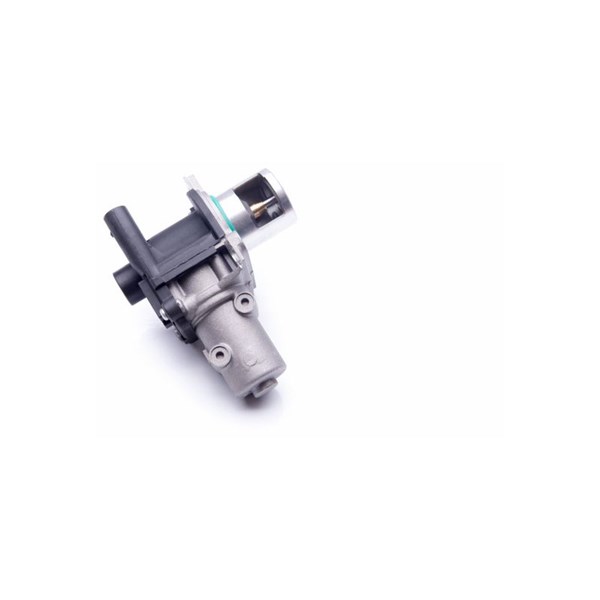 Egr-ventil 12V Esen skv 14SKV163 ESEN SKV