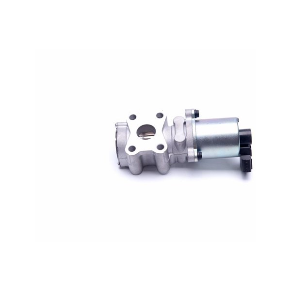 Egr-ventil 12V Esen skv 14SKV200 ESEN SKV