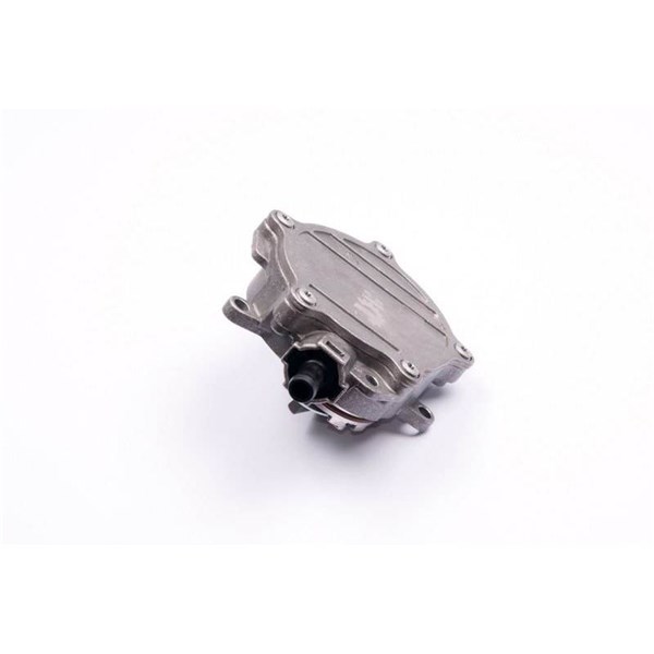 Vakuumpump, bromssystem Esen skv 18SKV017 ESEN SKV