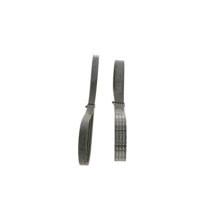Drivremsats Bosch ELASTIC 1 987 946 199 BOSCH