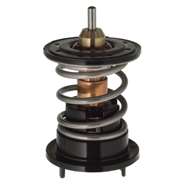 Termostat, kylvätska Febi bilstein 106284 FEBI BILSTEIN