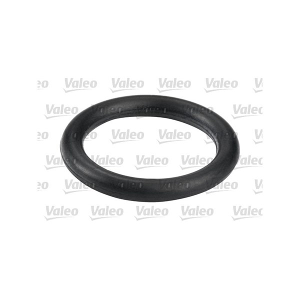Bränslefilter Valeo 587557 VALEO