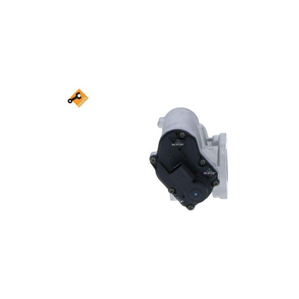 Egr-ventil 12V Nrf Easy fit 48395 NRF