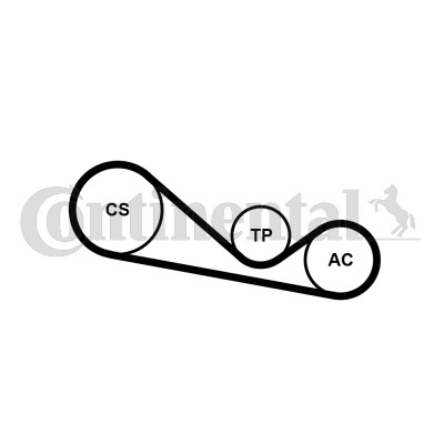 Drivremsats Contitech 4PK1237K1 CONTITECH
