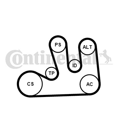 Drivremsats Contitech 5PK1750K1 CONTITECH