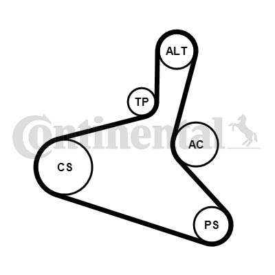 Drivremsats Contitech 6DPK1195K1 CONTITECH