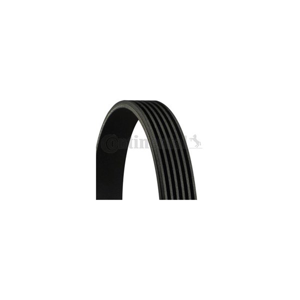 Drivrem Contitech 6PK1000 CONTITECH