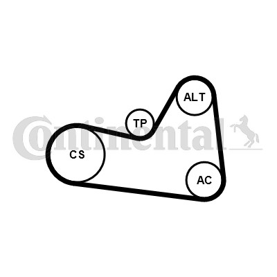 Drivremsats Contitech 6PK1026K1 CONTITECH
