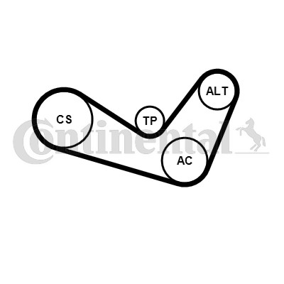 Drivremsats Contitech 6PK1050K2 CONTITECH