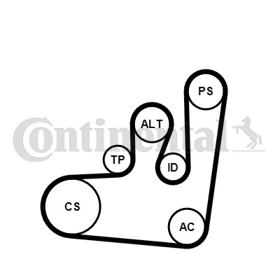 Drivremsats Contitech 6PK1145K1 CONTITECH