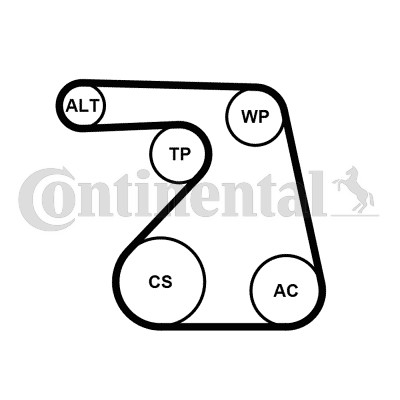 Drivremsats Contitech 6PK1217K2 CONTITECH