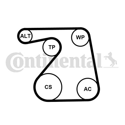 Drivremsats Contitech 6PK1360K1 CONTITECH