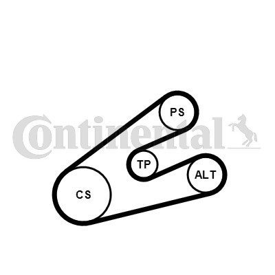 Drivremsats Contitech 6PK1453K1 CONTITECH