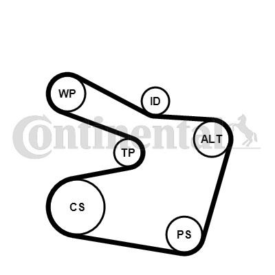 Drivremsats Contitech 6PK1538K2 CONTITECH